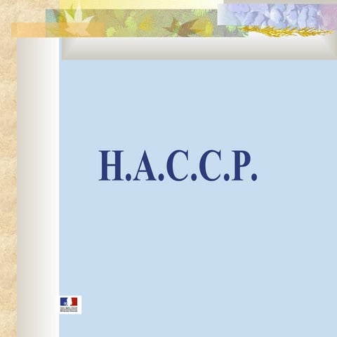 Comprehensive HACCP Guidelines for Food Safety and Hygiene in Catering ...