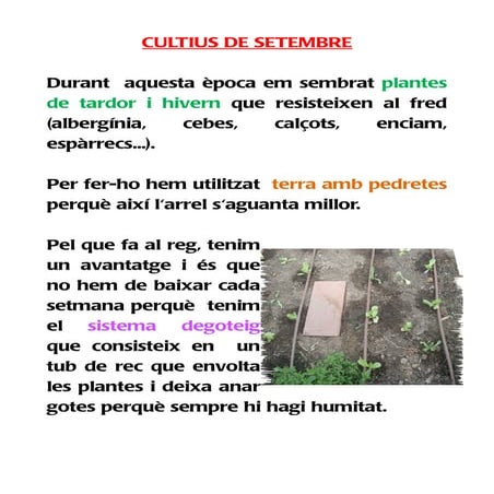 L'hort claudia nadia mariam i irene 6 b (còpia) | PDF