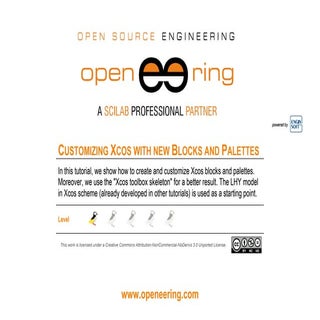 Customizing Xcos with new Blocks an...