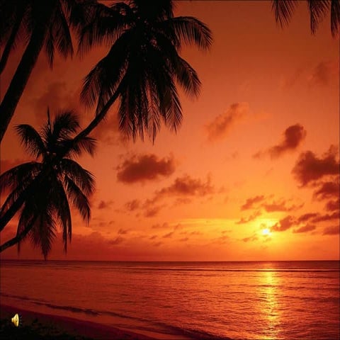 Library Instruction Session