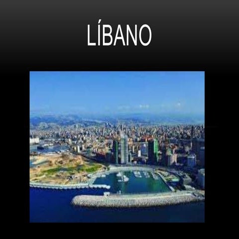 Cocina Asiatica el Libano