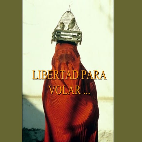 Libertadparavolar