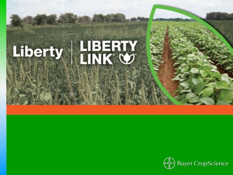 LibertyLink® Trait & Liberty® Herbicide Soybeans