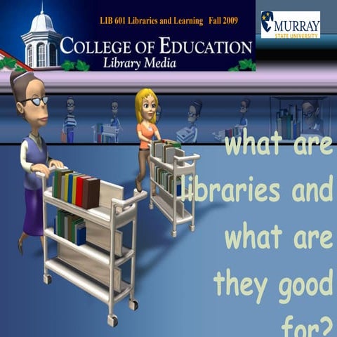What Are Libraries Good For?