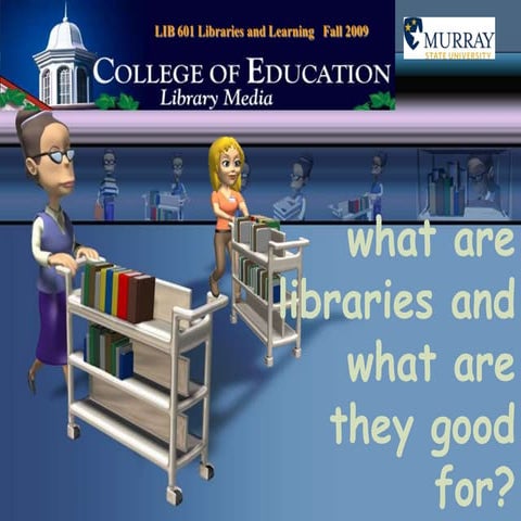What Are Libraries Good For?