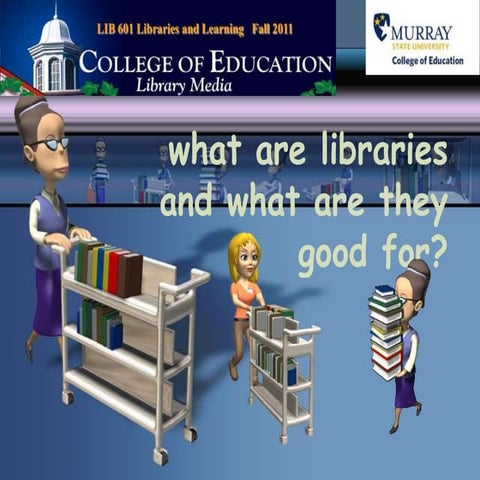 What are Libraries Good For?