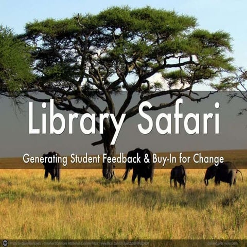 Library Safari: Generating Student Feedback & Buy-In for Change