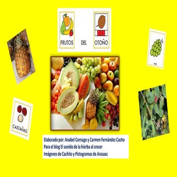 Librito de-frutos-del-otoño (1)