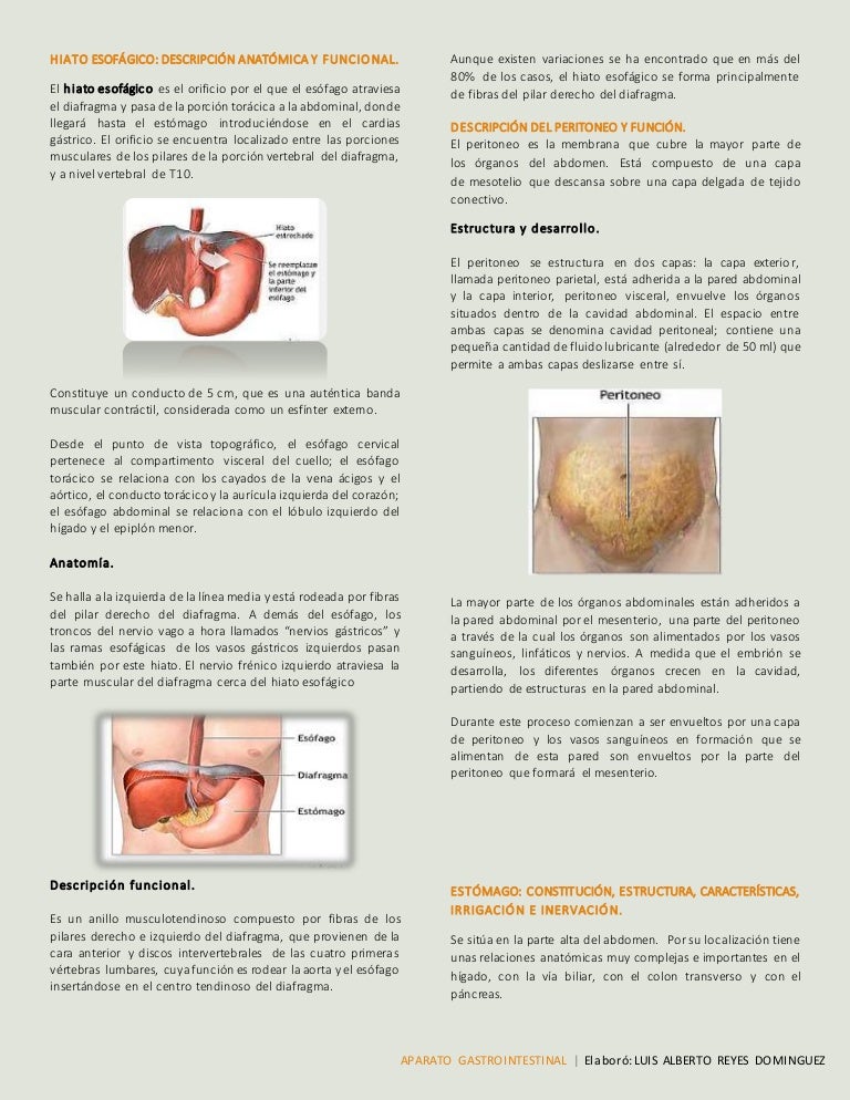 síntomas de diabetes por interposición ileal síntomas de diabetes por interposición ileal