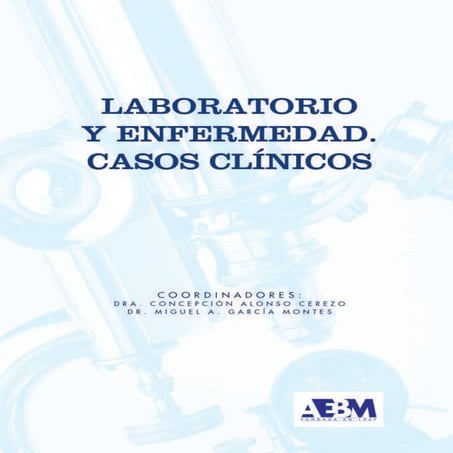 Libro aebm v4