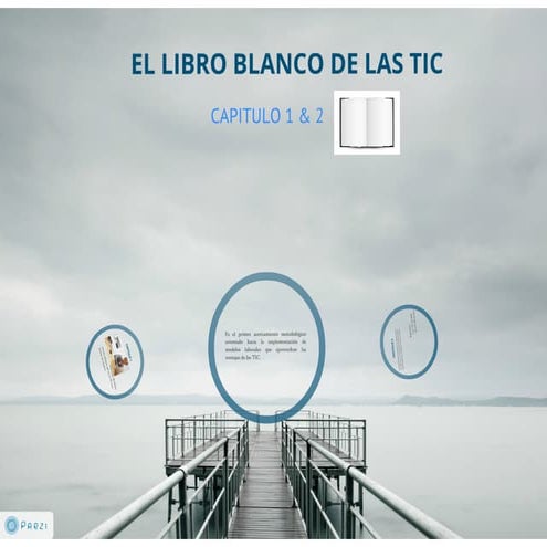 Libro blanco de las tic  capitulo 1 y 2