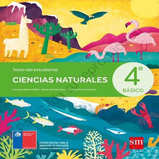 Libro ciencias naturales 4 basico | PDF