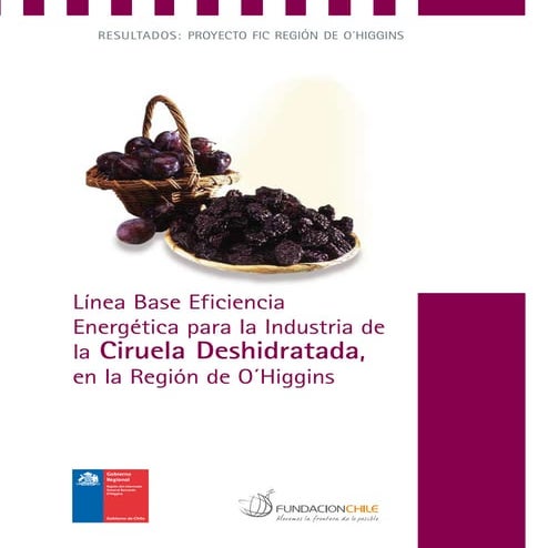 Linea Base energética de la industria de Ciruela Deshidratada Región de O'Higgins