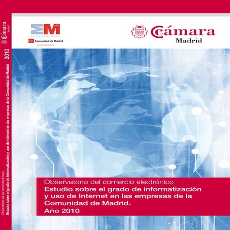 Informatización y uso de Internet en las empresas madrileñas 2010