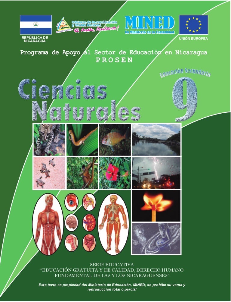 Libro De Ciencias Naturales De 4 Grado De Primaria Santillana Libros