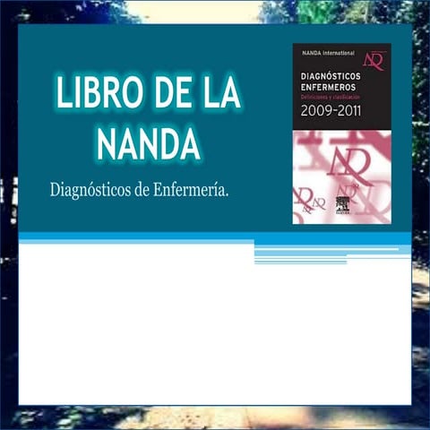 Libro de la nanda