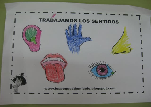 Libro de los sentidos