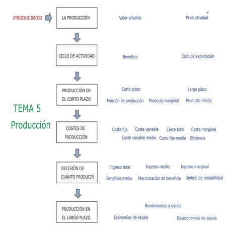 Libro economia 1 bachillerato tema 5