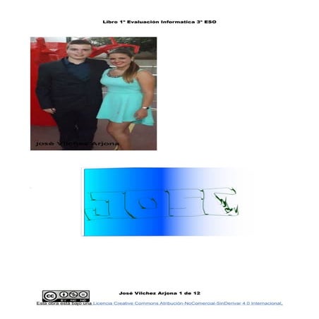 Libro final josé vilchez