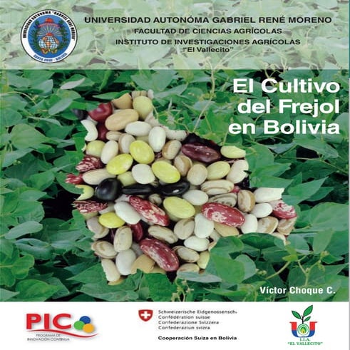 Libro frejol final