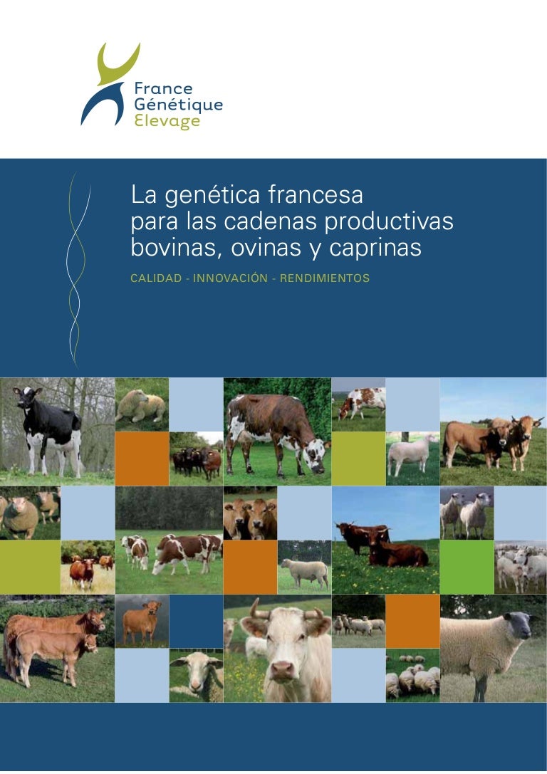 eyaculación precoz leon francia