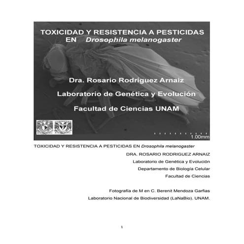 TOXICIDAD Y RESISTENCIA A PESTICIDAS EN Drosophila melanogaster