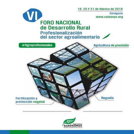 Libro VI Foro Nacional de Desarrollo Rural.