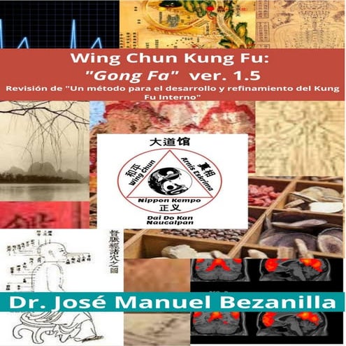 Wing Chun Kung Fu: “Gong fa” (功法) ver. 1.5  Revisión de “Un método para el de...
