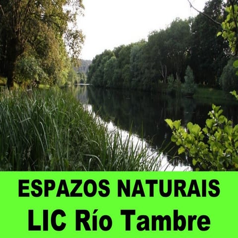 LIC Río Tambre PPT Free Download
