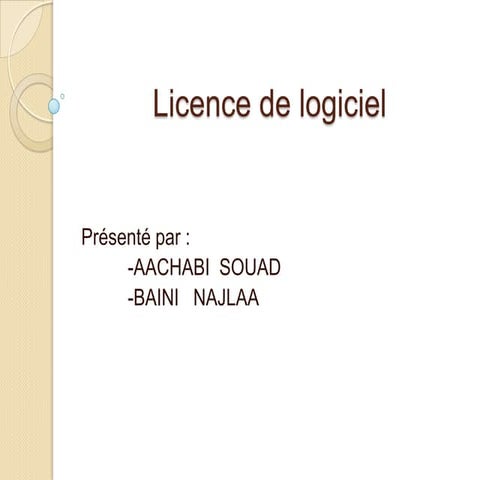 Licence de logiciel 