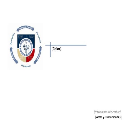Liceo color theory and texture