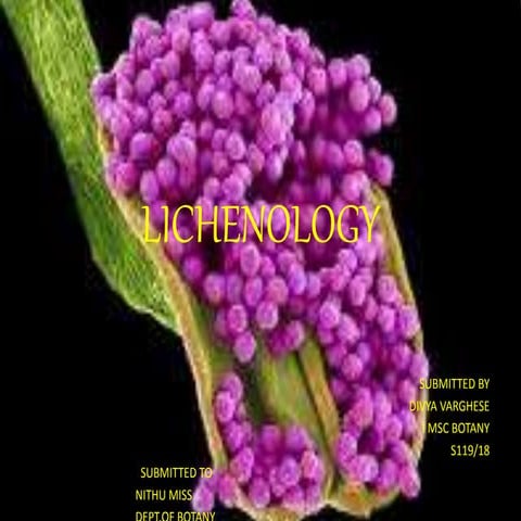 Lichenology