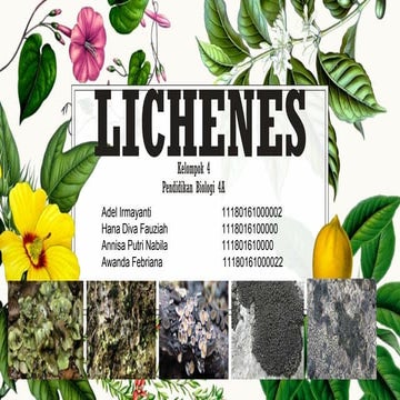 Lichen