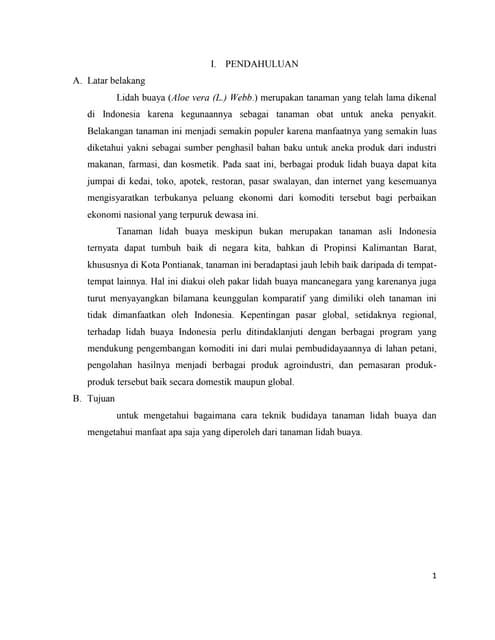 Lidah Buaya Aloevera