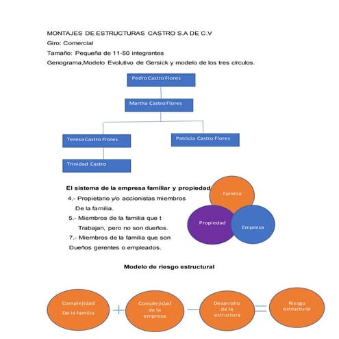 Liderazgo en las empresas familiares | DOCX