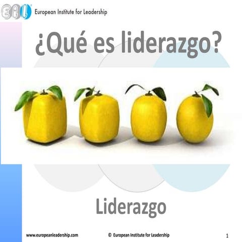Qué es EIL