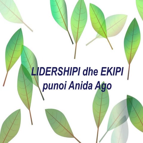 Lidershipi