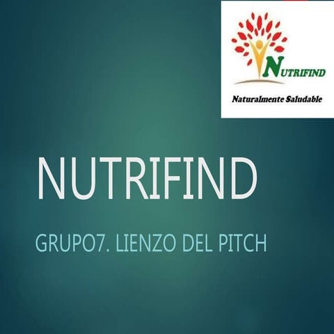 Lienzo del pitch   grupal nutrifind n7