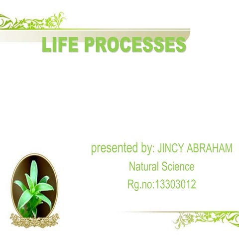 ppt on life process