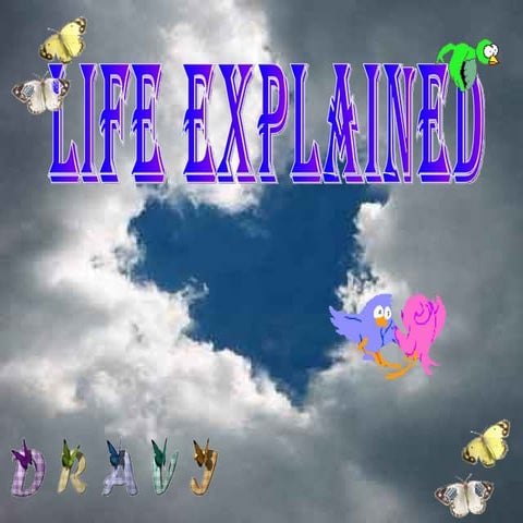 L I F E  E X P L A I N E D