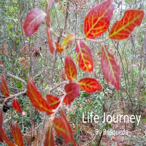 Life Journey