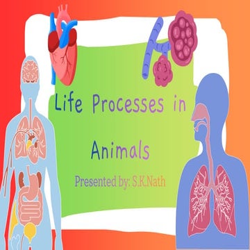Life-Processes-in-Animals.pdf priyanshum | PDF