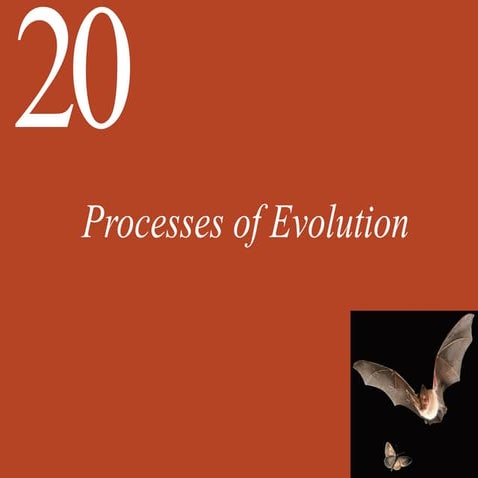 life11e_ch20_lecture.pdf biology textbook