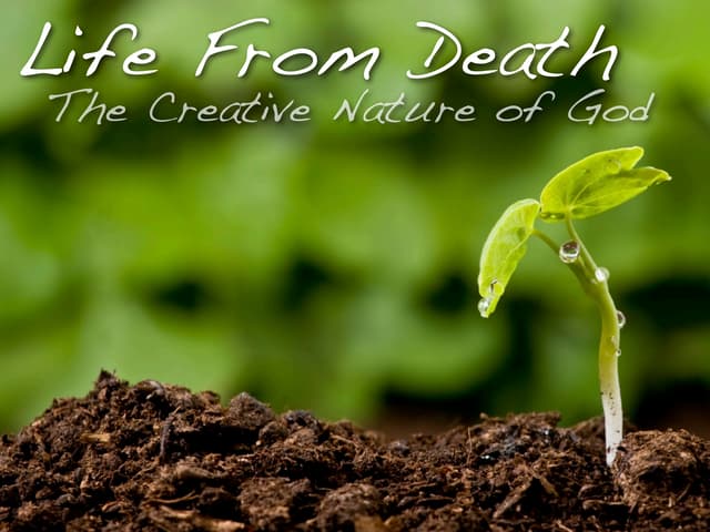 Life After Death