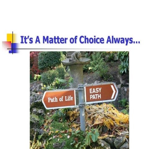 Life All About Choice