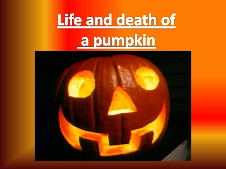 Life and death of a pumpkin