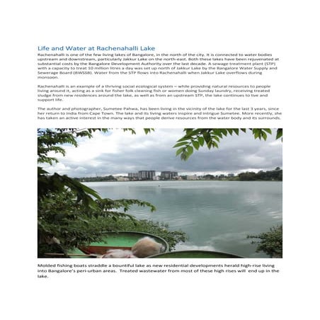 Life and water at Rachenahalli Lake