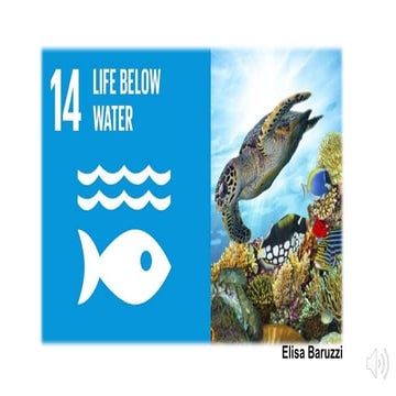 Life below water(goal 14). baruzzi elisa