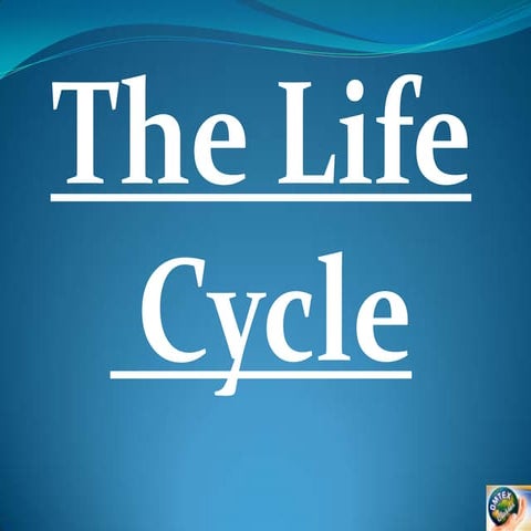 Life cycle