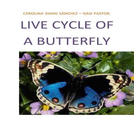Life cy cle f a butterfly 